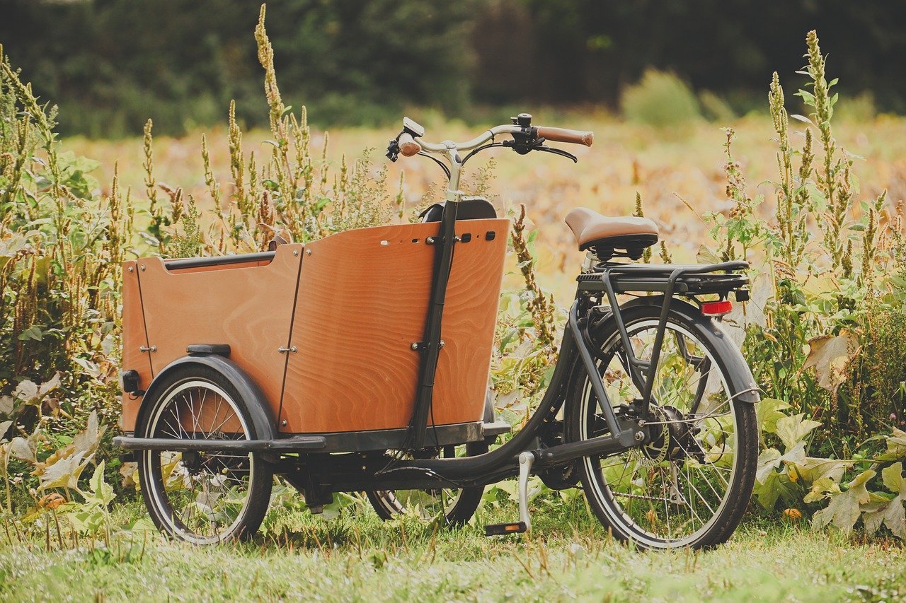 bicycle, to go biking, transport, cargo bike, bike tour, wheel, meadow, nature, landscape, field