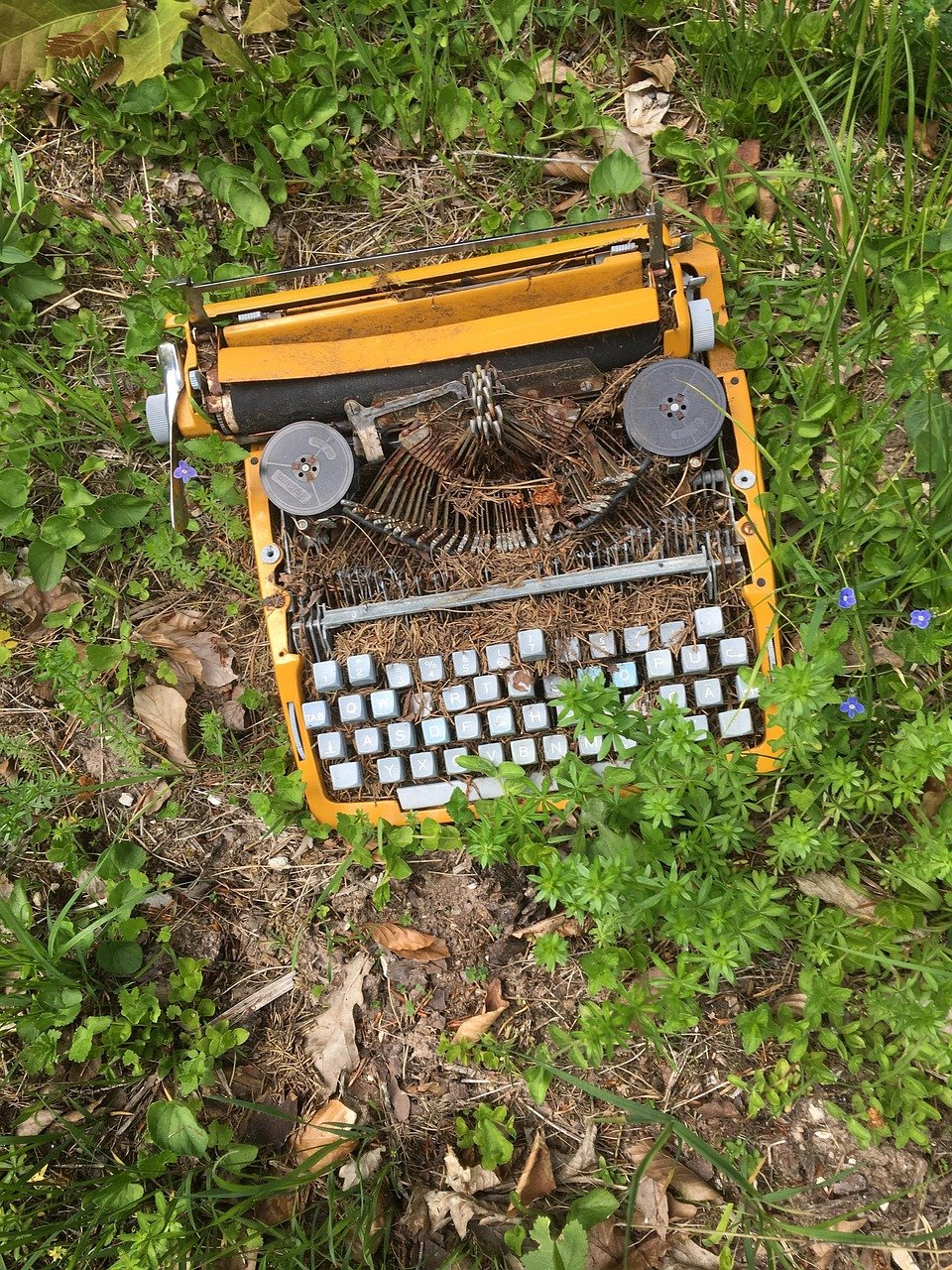 typewriter, garbage, cleanup, pollution, waste, disposal, environmental pollution, throw away society, residual waste, environment, waste disposal, throw away, recycling, dump