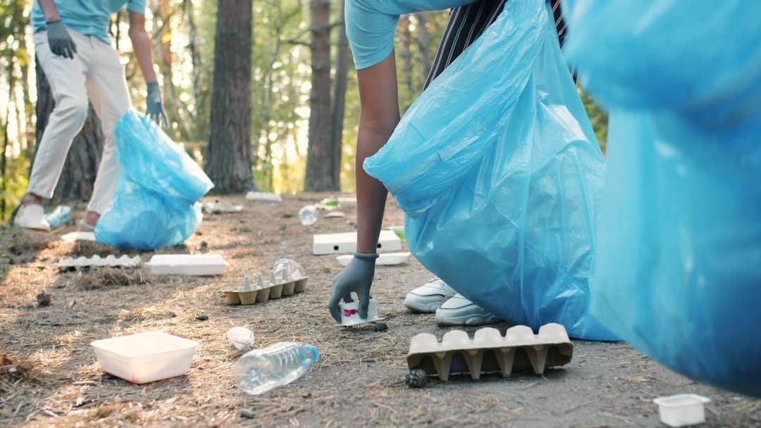 Close-up of garbage in forest and hands in gloves collecting trash in bin bags, volunteers are cleaning nature from litter. Ecological problems and activists concept.